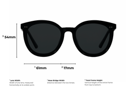 Demia | Round Flat Front Lens Low Bridge Fit Sunglasses – August Friday